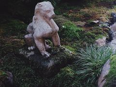 -植觉