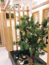 -芳朵美容养生SPA