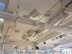 -猫的天空之城概念书店(北戴河蔚蓝海岸店)