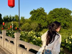-洛阳市隋唐城遗址植物园