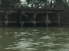 -运河游船(武林门码头)