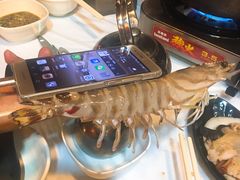 -鲜入围煮花胶鸡海鲜火锅