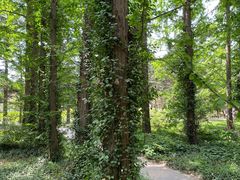 -国家植物园南园