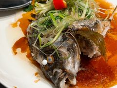 -協成海鮮火鍋(老店)