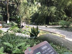 -望江楼公园