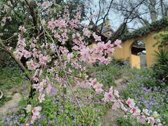 -苏州上方山国家森林公园