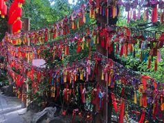 -鸡毛店·川菜(双楠店)