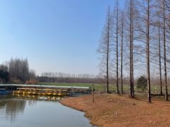 -黄海国家森林公园