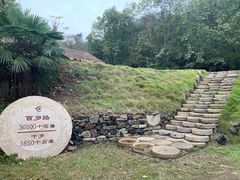 -千年银杏谷文化旅游区