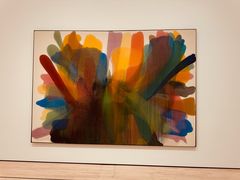 -旧金山现代艺术博物馆