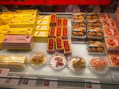 -蒲公英(五里店)