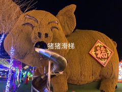 -淄博花灯齐彩城