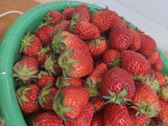 -胡家庙水果批发市场