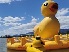 -野鸭湖国家湿地公园