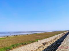 -南汇嘴观海公园