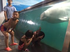 -北戴河圣蓝海洋公园