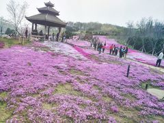 -棒棰岛宾馆景区