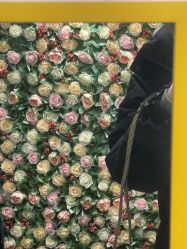 -变美丽半永久纹眉连锁·机器野生眉•洗眉