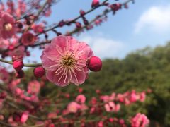 -南京古林公园