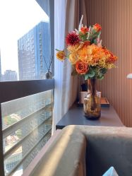 -禧月荟S月子中心(侨城店)