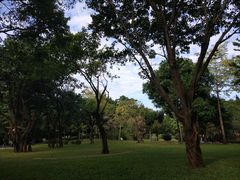 -晓港公园