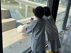 -河北霸州茗汤日月潭温泉