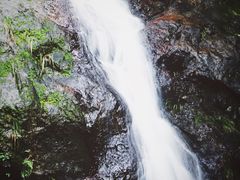 -东天目山风景区