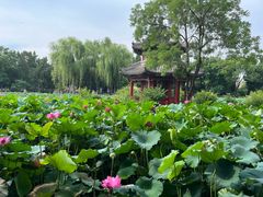 -莲池书院博物馆