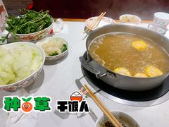 牛筋锅底-汕头八合里海记牛肉店(清河店)