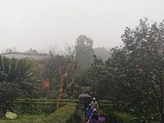 -峨眉山报国寺