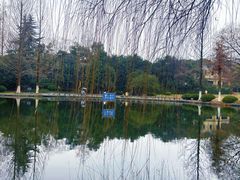 -环城公园-琥珀潭