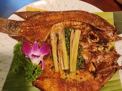 -紫滇源云南生态菜(丹凤街店)