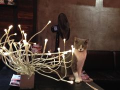 -MIKAKU(万达广场上海宝山店)