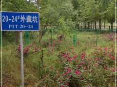-汉景帝阳陵博物院