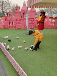 -萌宠亲子动物乐园(槐房万达店)