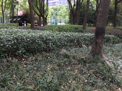 -徐家汇源景区-衡山坊