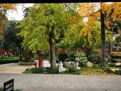 -宝光寺