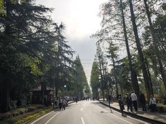 -青城山