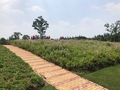 -同里国家湿地公园