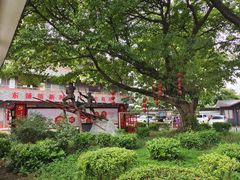 -东涌水乡风情街