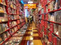 -秋叶原电器街