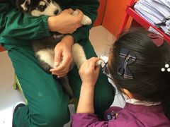 -惠康宠物医院(华能路店)