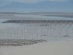 -北岐滩涂