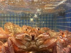 -东海怡品海鲜豆捞(星街坊店)