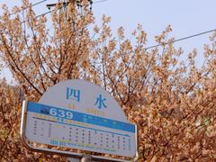 -崂山九水游览区