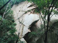 -大岭沟猕猴桃谷风景区