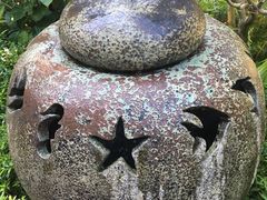 -100蛋泥浆浴