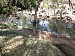 -石家庄市动物园