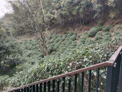 -尚圣月子会所·庄园式月子中心(萧山湘湖店)