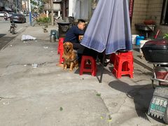 -大姚小姚面馆(九龙港路店)